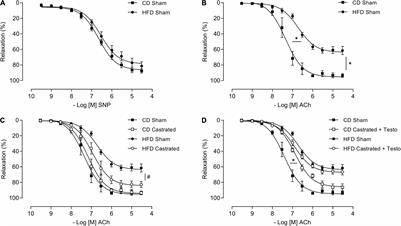 Testosterone Contributes to Vascular Dysfunction in Young Mice Fed a High Fat Diet by Promoting Nuclear Factor E2–Related Factor 2 Downregulation and Oxidative Stress